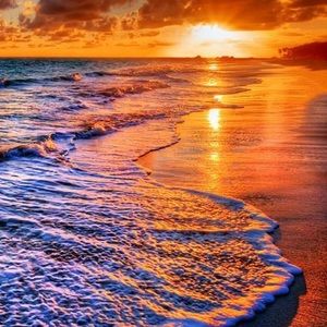 Meet your Posher, Anisha